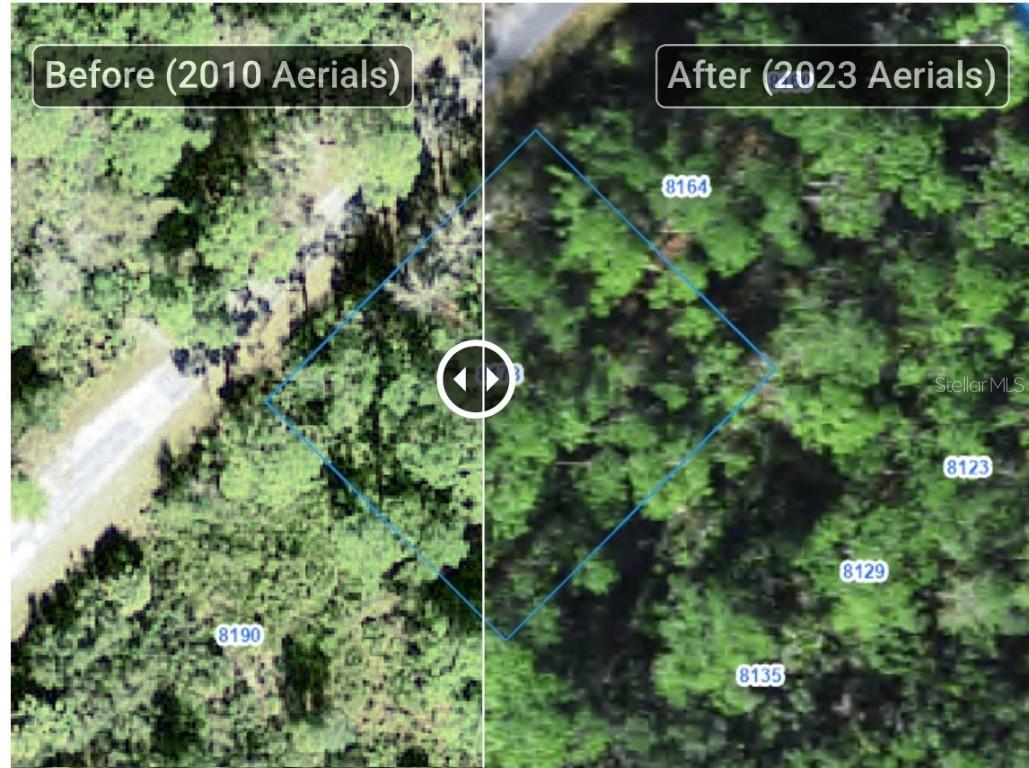 8178 W Windhaven Pl., Homosassa, FL 34448