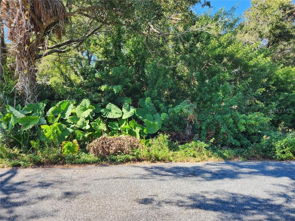 00 Atis St. #Lot#9, New Port Richey, FL 34653