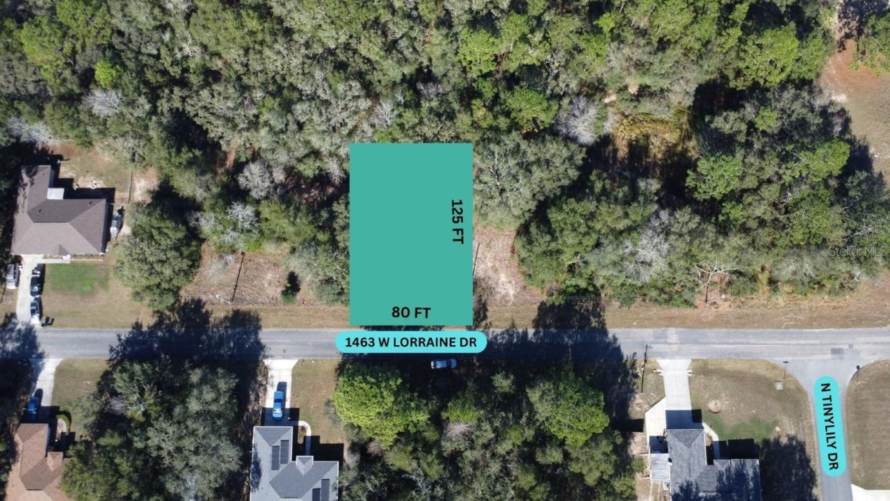 1463 W Lorraine Dr., Citrus Springs, FL 34434