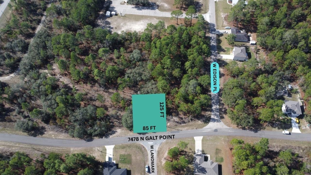 7478 N Galt Point, Citrus Springs, FL 34434