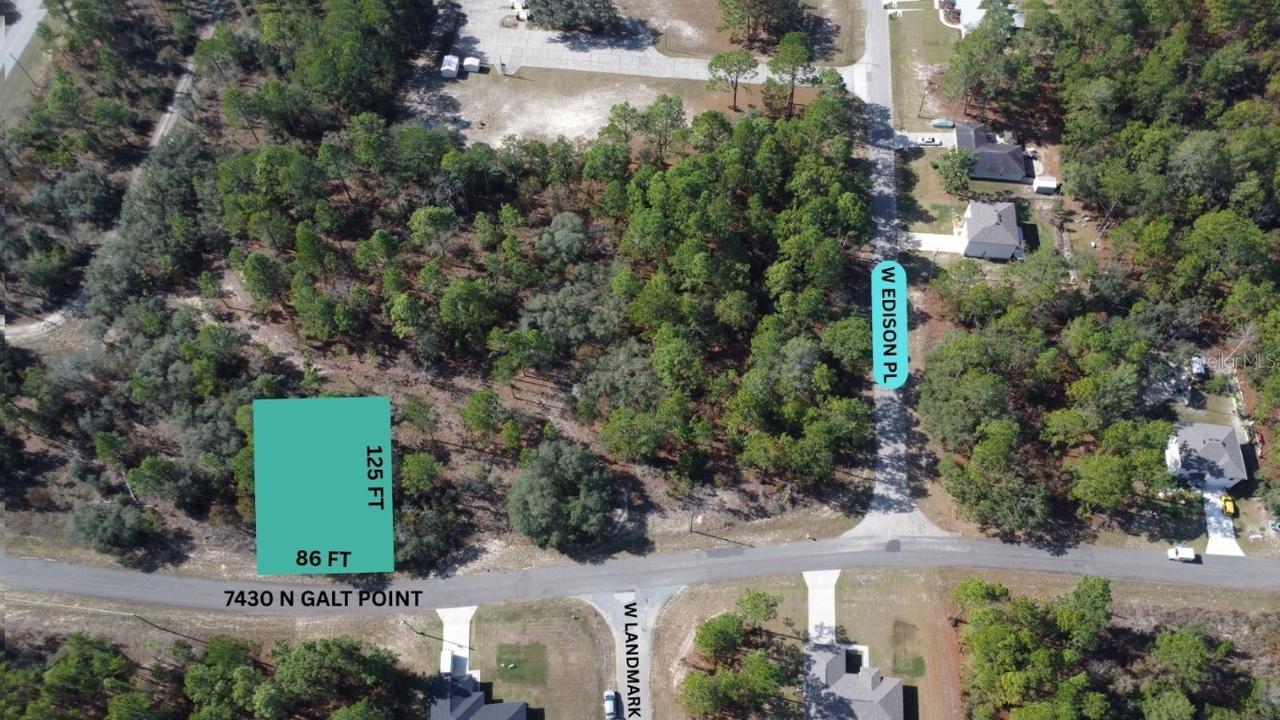 7430 N Galt Point, Citrus Springs, FL 34434