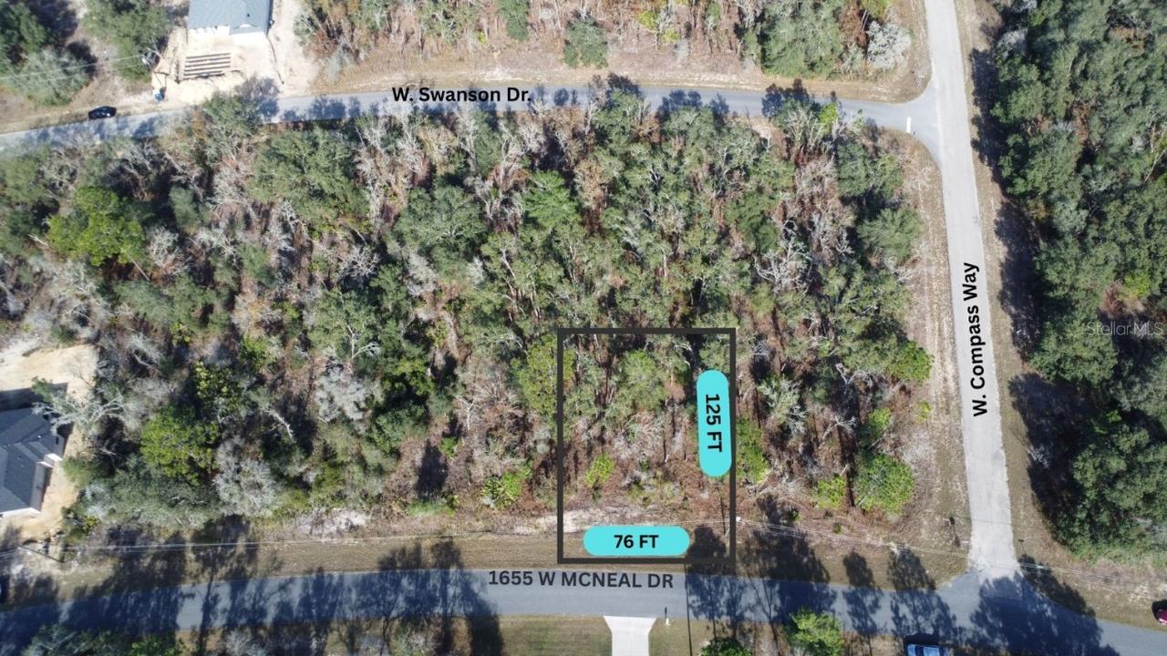 1655 W Mcneal Dr., Citrus Springs, FL 34434