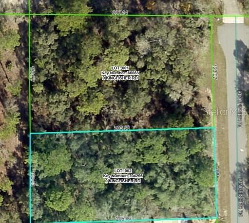 Lot 1 Kingfisher Rd., Weeki Wachee, FL 34614