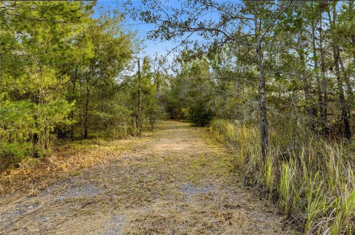 Backwoods Way, Brooksville, FL 34614