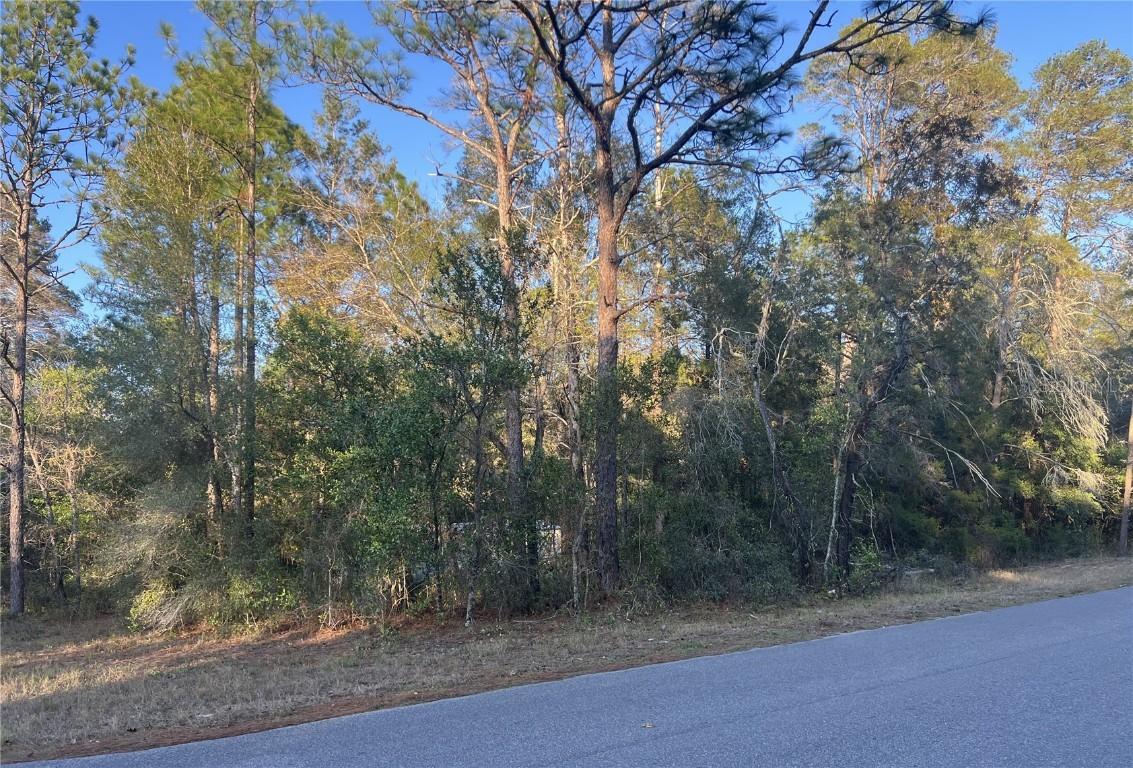 Lot 4+ Blair Ave., Brooksville, FL 34604