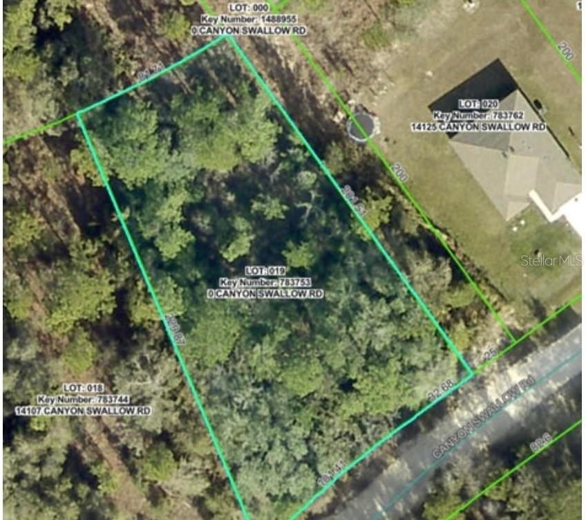 Lot 19 Canyon Swallow Rd., Weeki Wachee, FL 34614