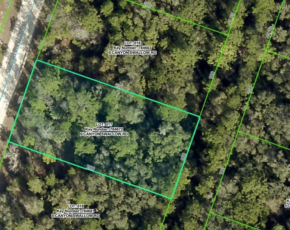 Lot 17 Canyon Swallow Rd., Weeki Wachee, FL 34614