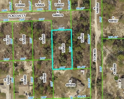 13154 Flaccus Ct., Brooksville, FL 34613