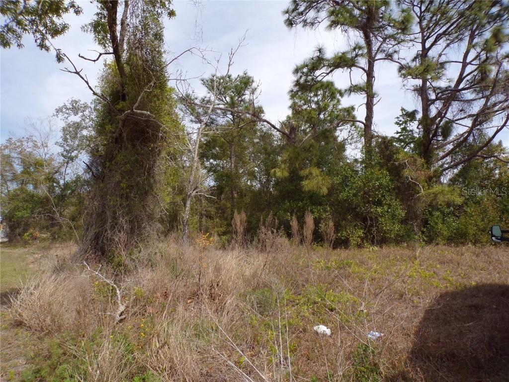 4582 Gondolier Rd., Spring Hill, FL 34609