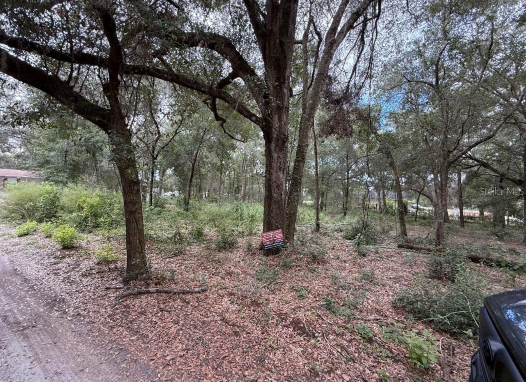 10185 Creekfield Rd., Brooksville, FL 34613