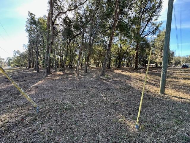 1 SE 161st Ct., Ocklawaha, FL 32179