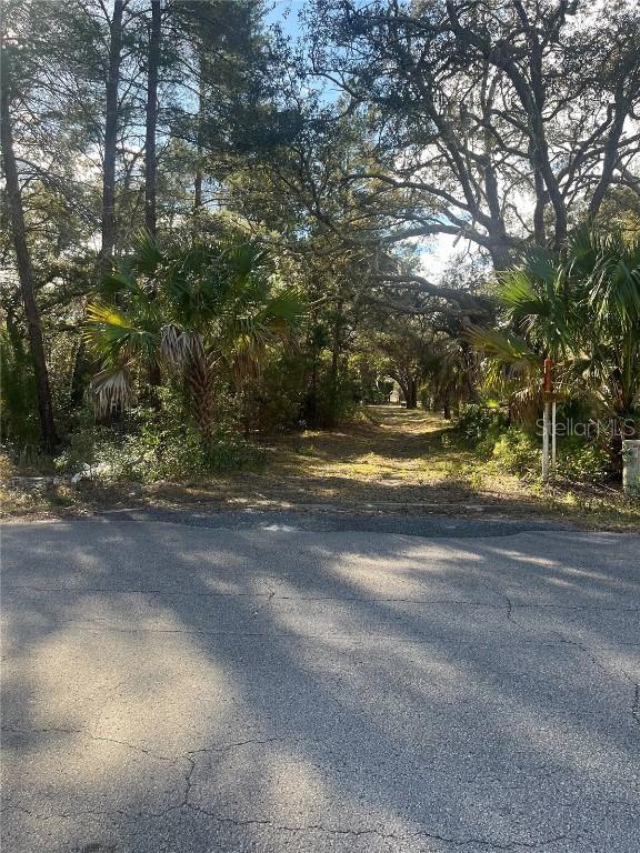 Yearling Ave., Weeki Wachee, FL 34607