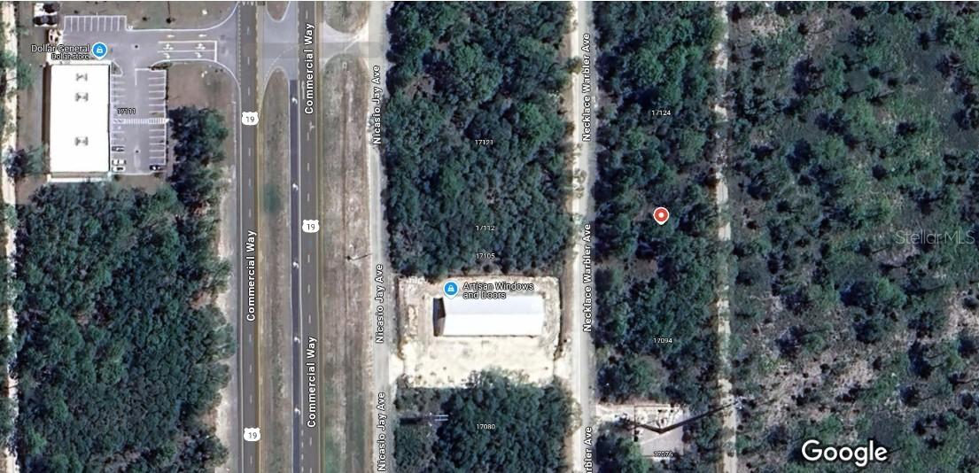 17108 Necklace Warbler Ave., Brooksville, FL 34614