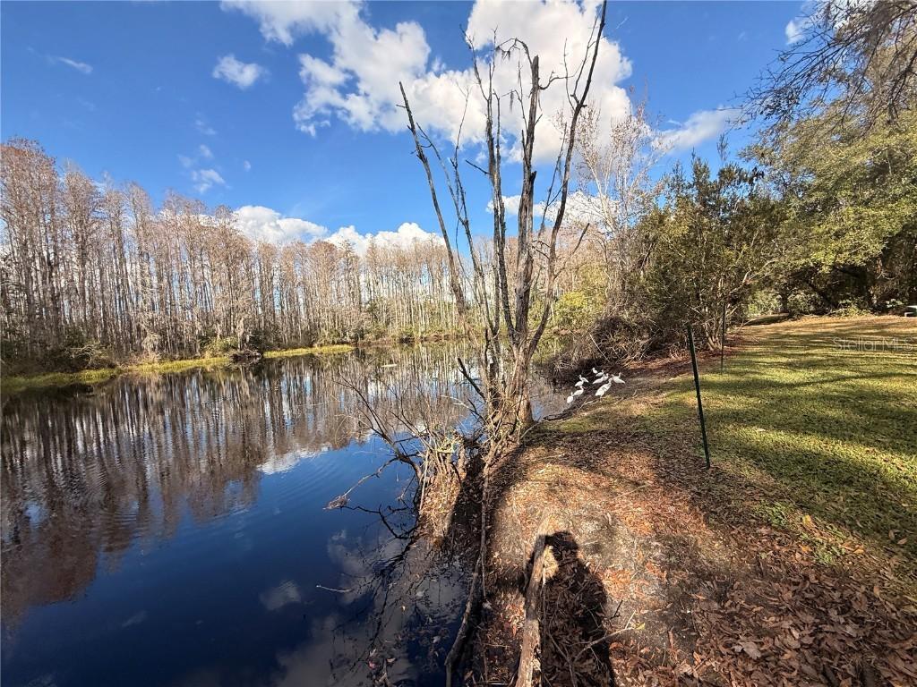 12155 Environmental Dr. #6, New Port Richey, FL 34654