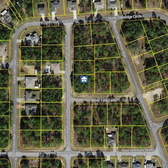 647 W Tulip Ln., Citrus Springs, FL 34434