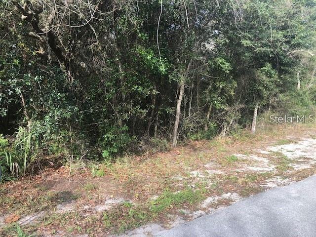 189 Candlewick Ave., Spring Hill, FL 34608