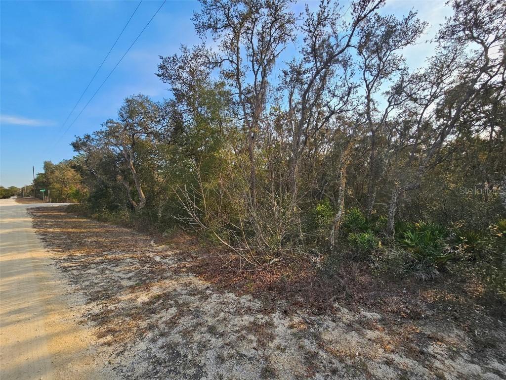 34310 Manuel St., Webster, FL 33597