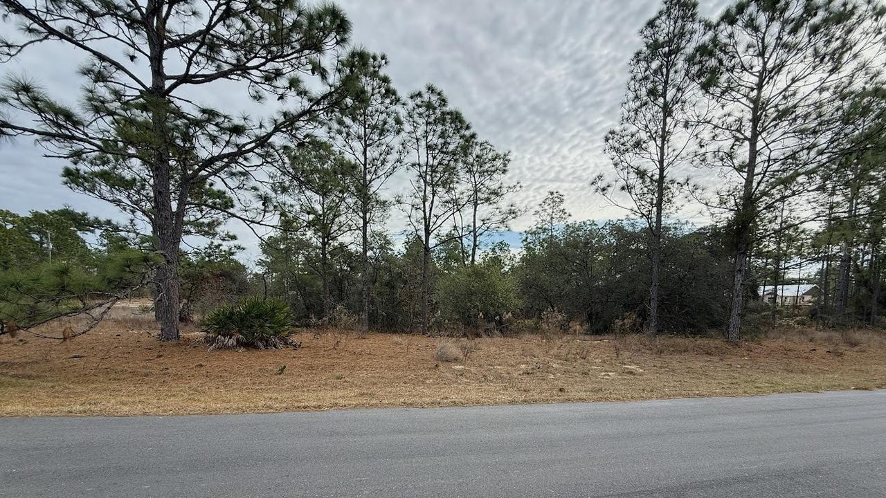 4143 W Dorchester Cir., Dunnellon, FL 34433