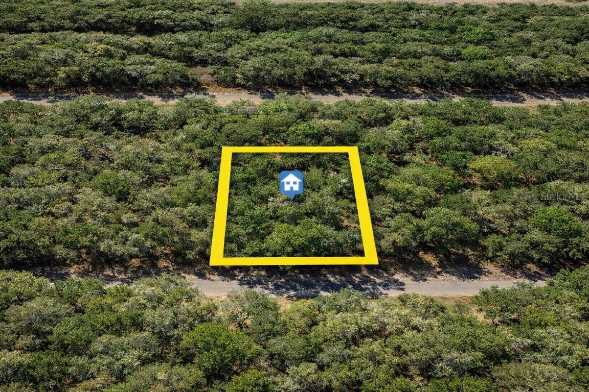 9218 N Rhine Way, Citrus Springs, FL 34434