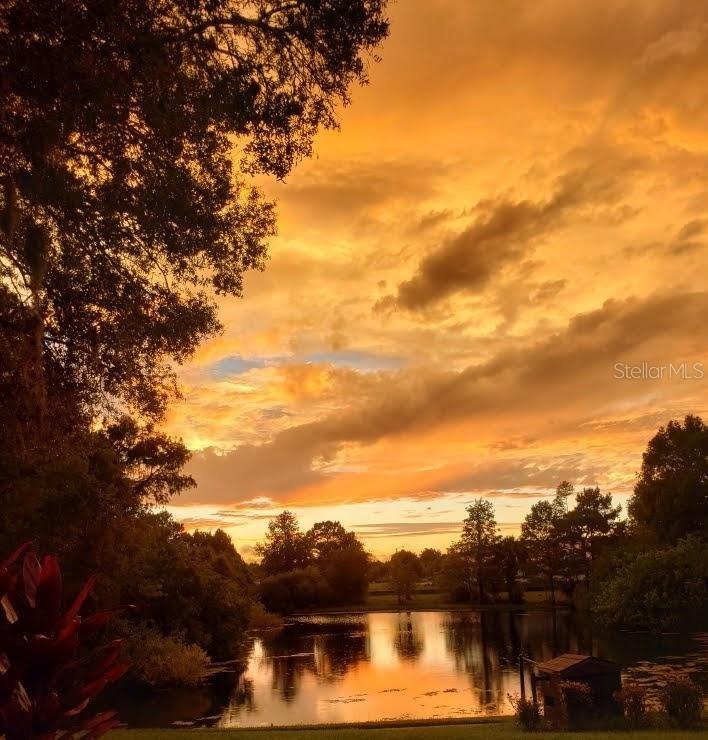 7737 Eureka Dr. #203, Hudson, FL 34667