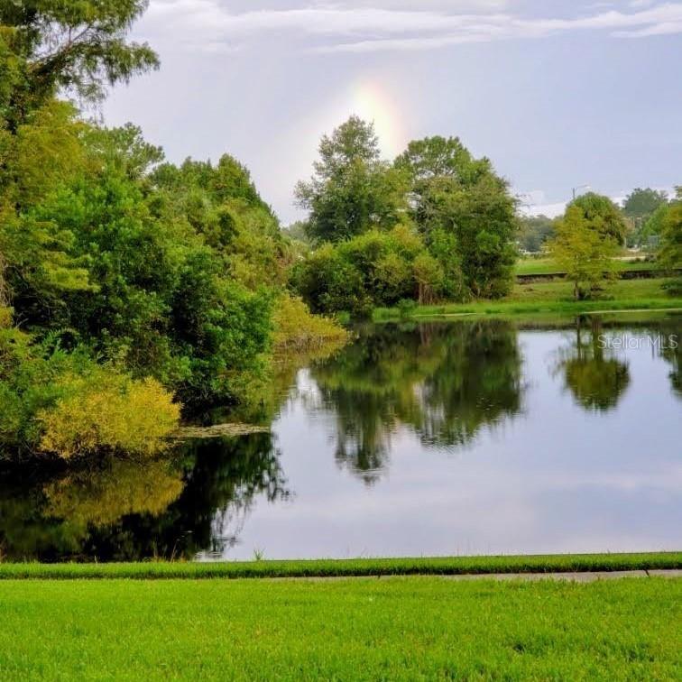 7737 Eureka Dr. #203, Hudson, FL 34667