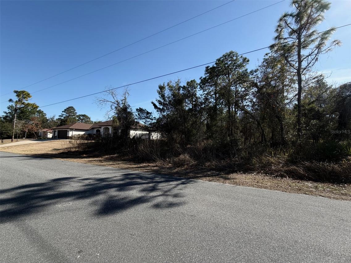 Godwit Ave., Weeki Wachee, FL 34613