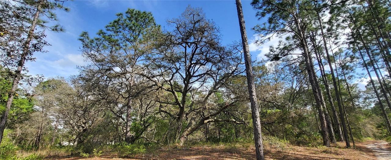 12090 Osprey Ave., Weeki Wachee, FL 34614