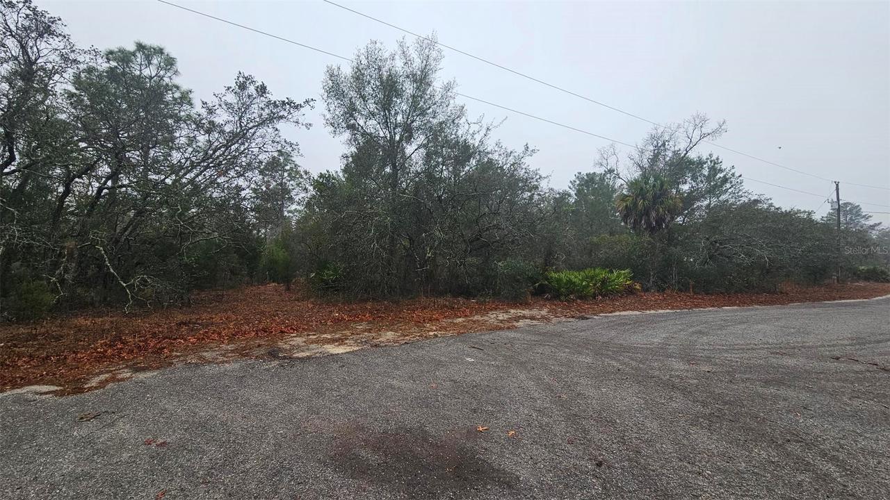 Indian Trail Rd., Weeki Wachee, FL 34613