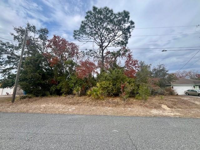 10415 Laval St., Spring Hill, FL 34608