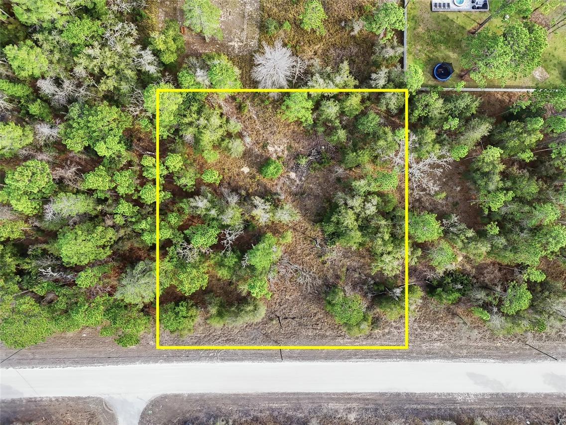 Chimney Swift Rd., Weeki Wachee, FL 34614