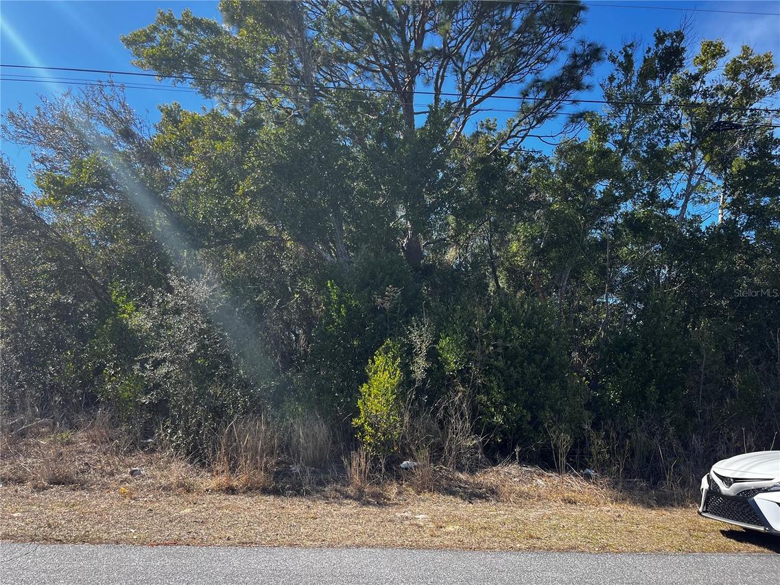 2293 Marietta Ave., Spring Hill, FL 34608