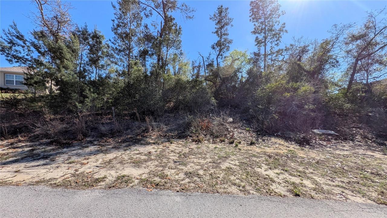 13014 Hanley Dr., Spring Hill, FL 34609