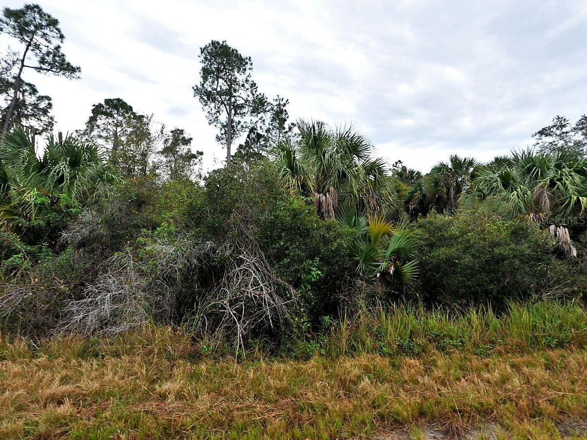 Silverleaf Rd., North Port, FL 34288