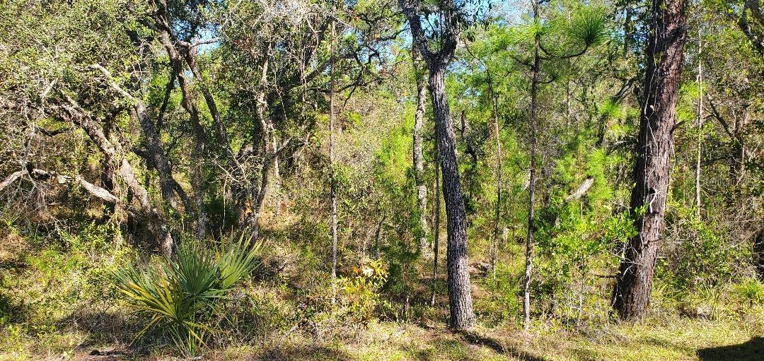 Lot 56 Michigan Ave., Weeki Wachee, FL 34613