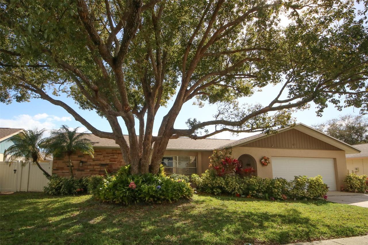 45 Turnstone Dr., Safety Harbor, FL 34695