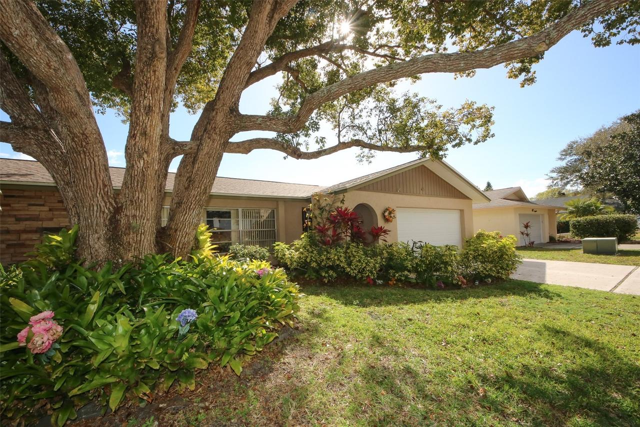 45 Turnstone Dr., Safety Harbor, FL 34695