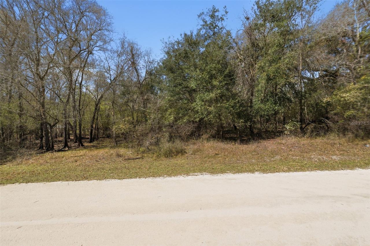 [Address Hidden by Seller], Webster, FL 33597