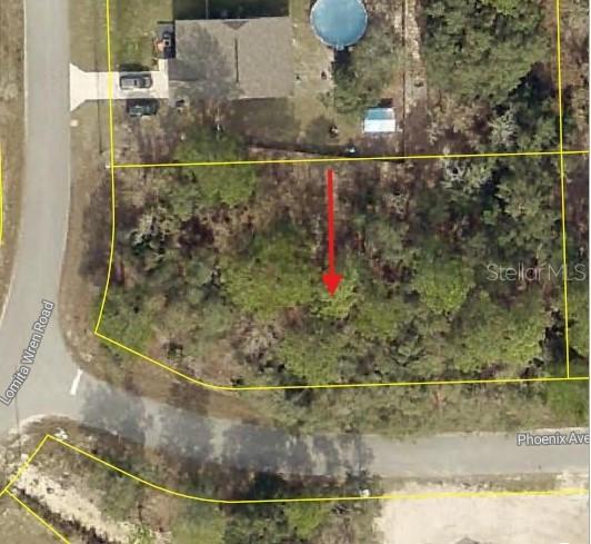Lomita Wren Rd., Weeki Wachee, FL 34614