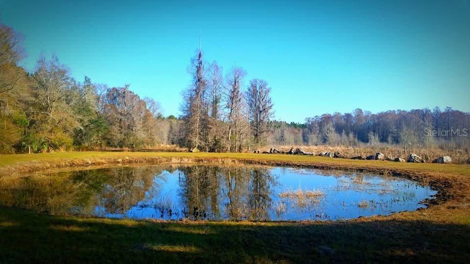 1106 Fox Hunter Rd, Perry, FL 32348