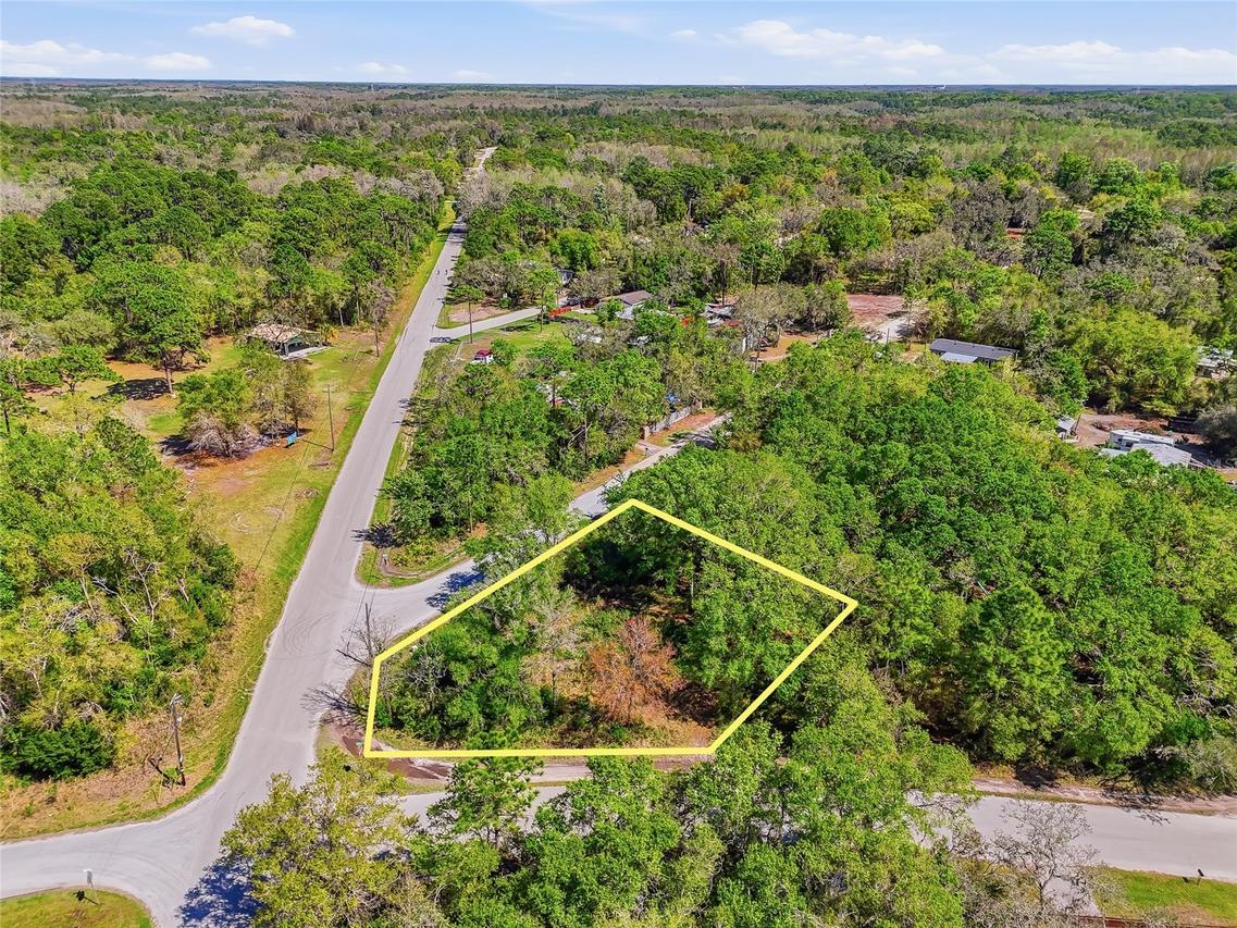 100 Fern St., New Port Richey, FL 34654