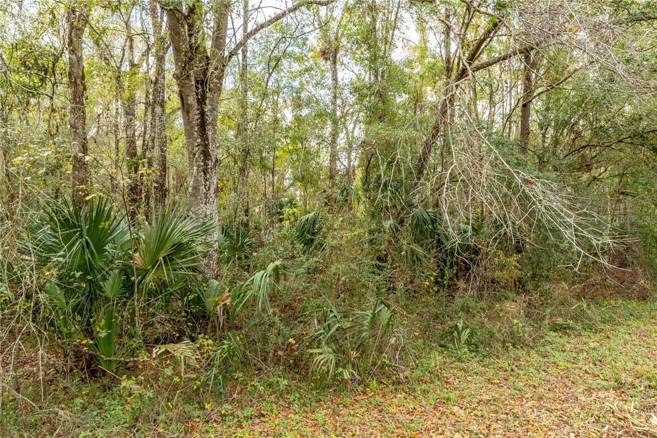 Lake Lindsey Tract 2 Rd., Brooksville, FL 34601