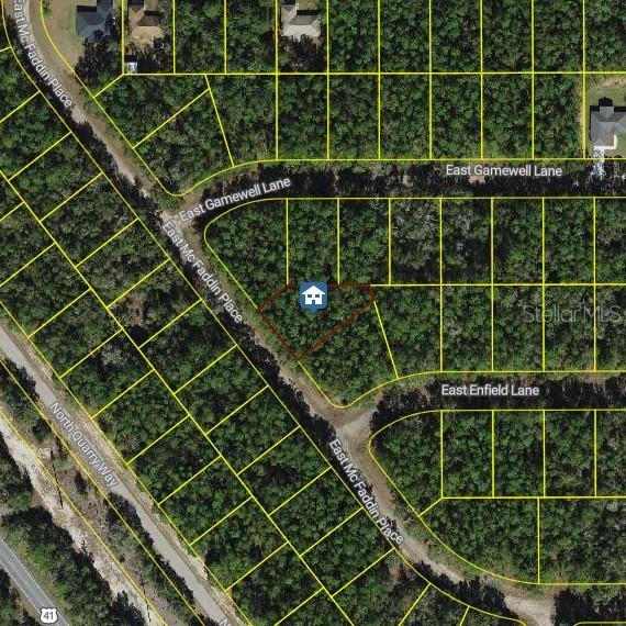198 E Mcfaddin Pl., Dunnellon, FL 34434