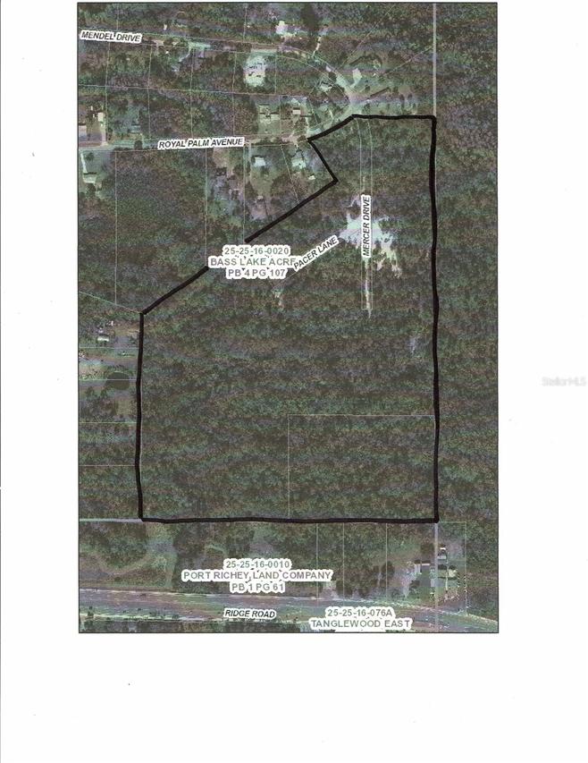 Royal Palm Ave, New Port Richey, FL 34654