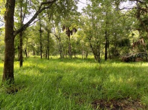 5001 Whippoorwill Dr., Holiday, FL 34690