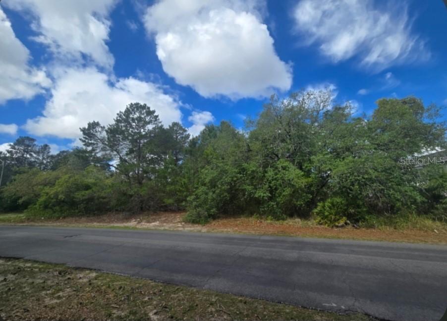 4113 Portillo Rd., Spring Hill, FL 34608