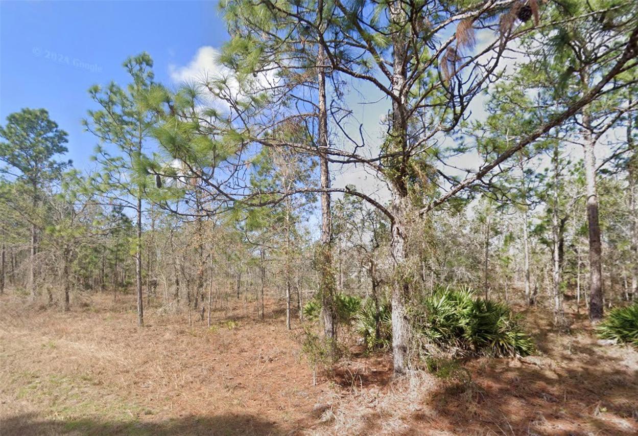 13351 Schick Ave., Brooksville, FL 34614