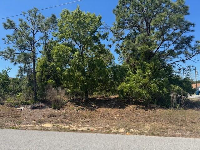 11364 Patch St., Spring Hill, FL 34609