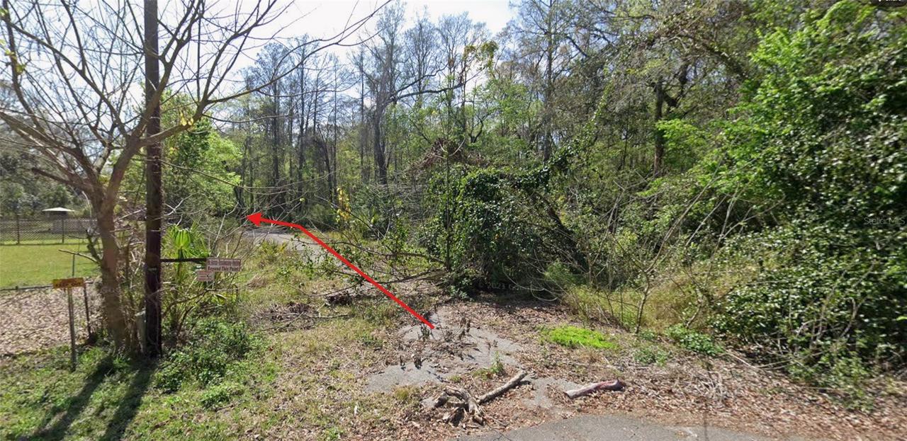 55 Marquerite Ave., New Port Richey, FL 34654