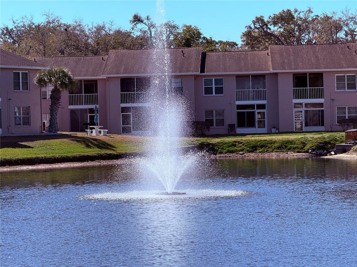 6519 Spring Flower Dr. #22, New Port Richey, FL 34653