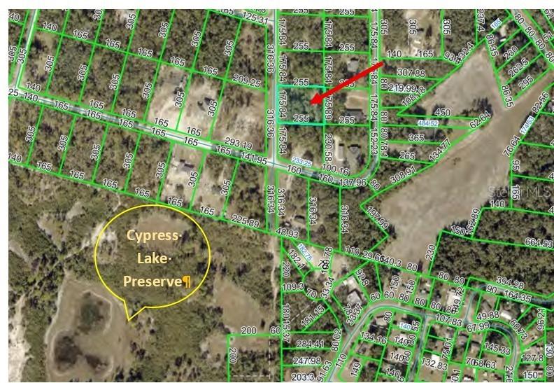 000 Norman St., Webster, FL 33597